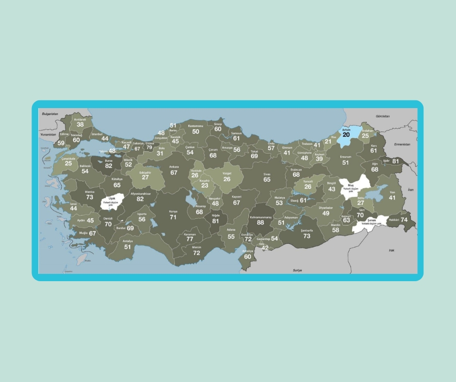 Hava Kirliliği Türkiye’de 32 bin Erken Ölüme Yol Açıyor, Çanakkale Hava Kirliliği Tehdidi Altında