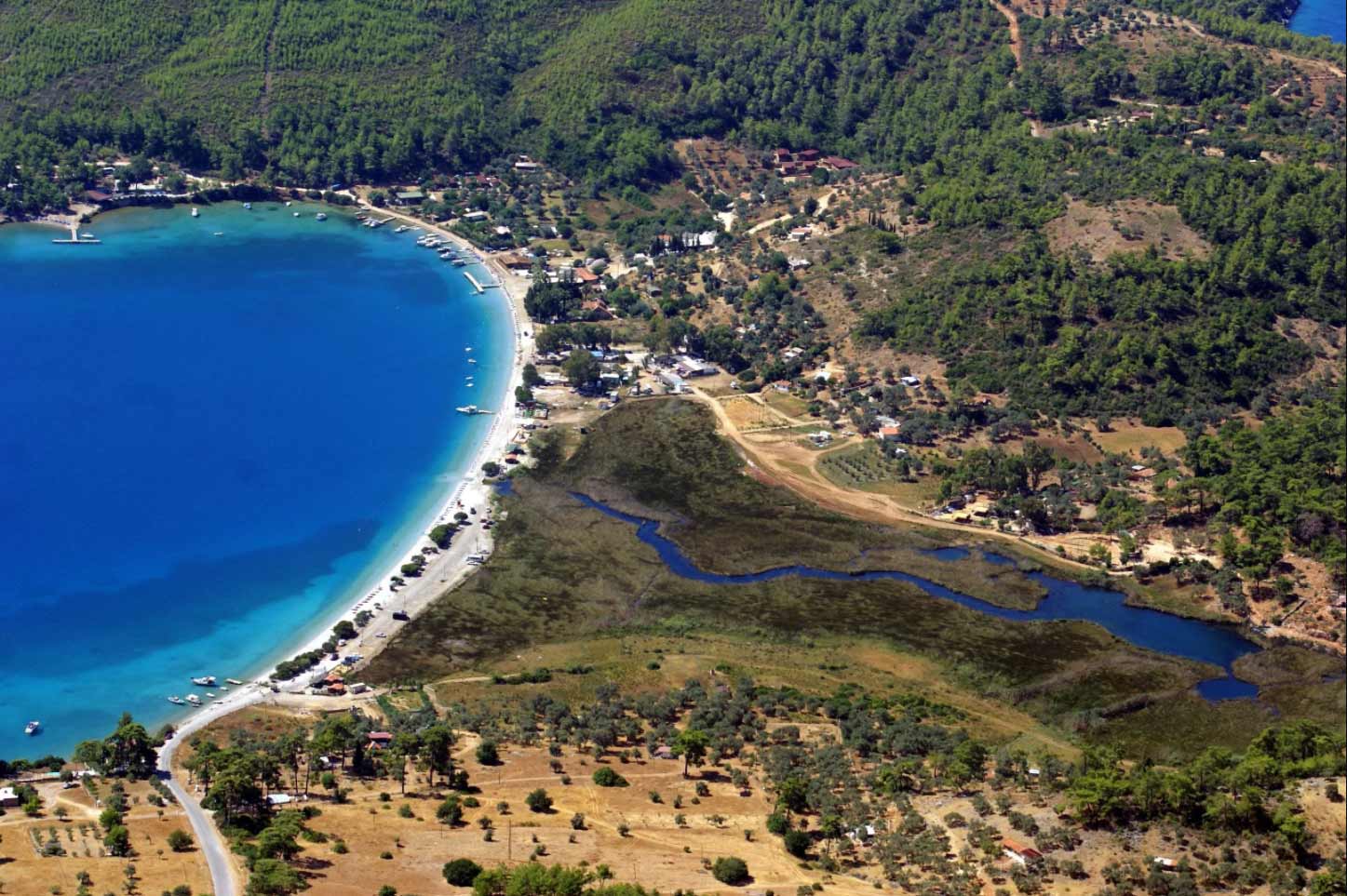 Akbelen Ormanı: Doğanın Kalbindeki Cennet