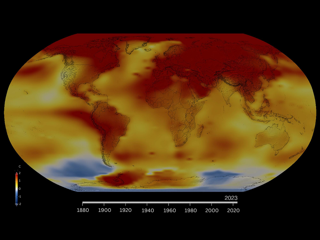THHP Bülteni Ocak 2024